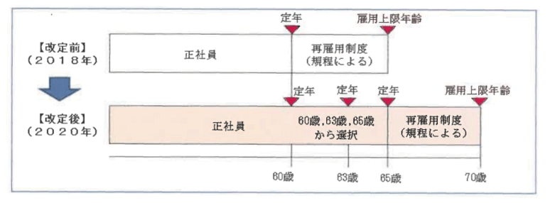 図表 雇用制度改定の概要